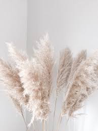 Weddings With Pampas Grass Curious Country Creations Crafty Life Wedding Flower Trends Dried Flowers Pampas Grass