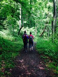 But i recommend hiking in from the south via the massanutten connector trail, which makes it 19 miles total when you include the out and backs to. Packing Right For Your Hike In Wv Visit Southern West Virginia Visit Southern West Virginia