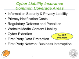 What does apip stand for in insurance? Cyber Liability Insurance Why We Have It How It Works Ppt Video Online Download