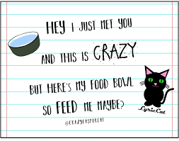 Call Me Maybe Cat Lyrics D Call Me Maybe Lyrics Cats