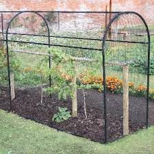 Stahlkorridor Kafig Aus Obst Und Gemusekafigen Kleingartnerei Gartnerei Gartenstruktur Obstgarten