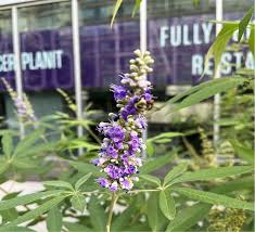 Central Park Arsenal Monday, September 18, 2023