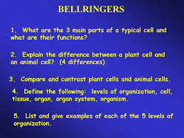 The plasma membrane acts as a barrier against undesirable substances and cells but has many other uses too. 2 Explain The Difference Between A Plant Cell And An Animal Cell