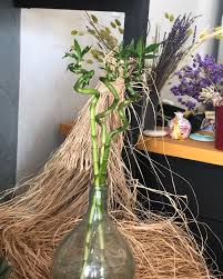 Maybe you would like to learn more about one of these? Hliotropo Flowers Weddings Bamboo Plants Flowers Forgoodluck Goodluck Green Design Decoration Instafoto Instaflower Instaplants Loveflowers Loveplants Aegina Greece Facebook