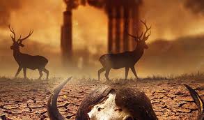 Global warming is one of the most serious environmental challenges of our time, and its effects are increasingly visible in the natural world. Wildlife—animals living in forests, oceans, grasslands #climatechange #globalwarming #wildlifeconservation