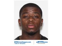 Gowanus-Red Hook Crime & Safety News