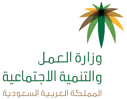 صحيفة خيبر نيوز الإلكترونية وزارة العمل والتنمية الاجتماعية تنظم ورشة عمل لمناقشة الدليل الإجرائي الموحد للأيتام
