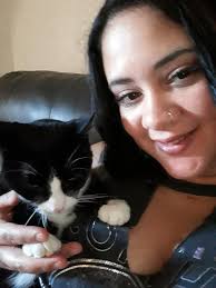 Lost cat near Ridge Ave Target