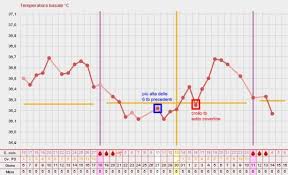 Grafico Ideale E Casi Particolari Esempi Guida