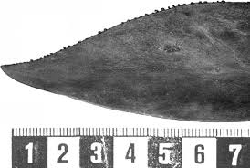 Image result for Balthasaria schliebenii