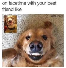 Only your real friends will tell you when your face is dirty. 65 Best Funny Friend Memes To Celebrate Best Friends In Our Lives