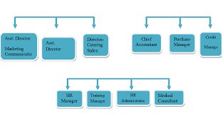 5 star hotel organizational chart