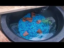I'm planning on taking a stab at a planted 20 gallon again, but i could never get dwarf hair grass to lawn out in mine. My Little 20 Gallon Pond Youtube