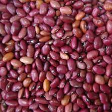 And what about bruno and the law? Origin Of Nigerian Foods Akidi Cowpea Connect Nigeria
