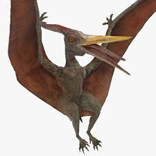 Pteranodon Landing Pose 3d Model Turbosquid 1384856 3d Model Cinema 4d R14 Poses