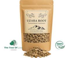 Image result for Xysmalobium