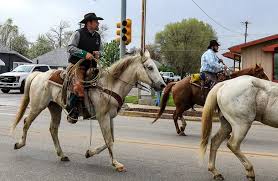 Talking Bear Yells At Yellowstone Tourist For Non-Consensual Hug