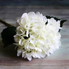 Dried, silk, foam or plastic flowers all offer a reliable alternative to fresh flowers. White Hydrangea Silk Flowers Heads Ivory White Full Hydrangea Flowers Artificial With Stems For Wedding Home Party Shop Baby Shower Decoration Walmart Com Walmart Com