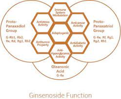 Korean Black Ginseng The Most Effective Ginseng For Treating Erectile Dysfunction
