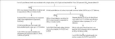 Flow Chart Showing Methods For Determination Of Analytical