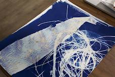 14: Cyanotype Printmaking