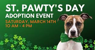 Maybe you would like to learn more about one of these? St Pawtys Day Adoption Event