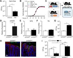 How do i handle rar files? Commensal Bacterial Derived Retinoic Acid Primes Host Defense To Intestinal Infection Biorxiv