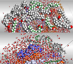 Das einfachste mittel, um die prozessfähigkeit eines gegebenen prozesses zu steigern, besteht darin, die spezifikationsgrenzen zu lockern: Scielo Brasil Molecular Dynamics Studies Of Amylose Plasticized With Brazilian Cerrado Oils Part I Molecular Dynamics Studies Of Amylose Plasticized With Brazilian Cerrado Oils Part I