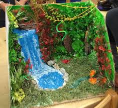 Biome In A Box Project Biome Projects Google Search Biomes Project Rainforest Habitat Rainforest Project