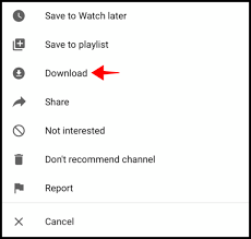 Copy and paste youtube url into the search box, then click start button. How To Download Youtube Videos On Your Iphone Ipad Or Android Device