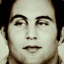 Sherlock star Benedict Cumberbatch confirms exciting new Netflix thriller