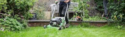 Key features of grass cut a app that is an excellent beauty smooth camera alternative. When Should You Cut Your Lawn Grass By Season And Time Of Day