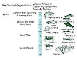 This allows for much greater levels of oxygen to be dissolved into the water. Oxygen Saturation Wikipedia