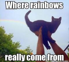 The 35 best funny christmas quotes of all time; 32 Best Funny Animal Pictures Quoteshumor Com