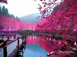 Sangat cocok untuk wallpaper dan sebagai referensi objek pemandangan yang indah dapat meliputi pegunungan, sungai, danau, air terjun, taman bunga, pantai, laut dan. Musim Daruma Nihongo Koshu
