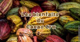 Le Cacao Cru Fait Partie Des Superaliments Mais Ne Vous Detrompez Pas Je Ne Parle Pas Du Chocolat Mais Veritablement Cacao Cru Cacao Fabrication Du Chocolat