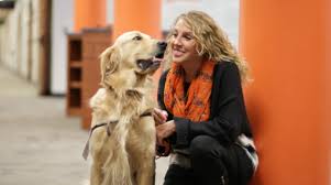 Finding a quality golden retriever puppy can be a daunting task. March S Pete S Pet Posse Pup Of The Month Oklahoma State University Tulsa