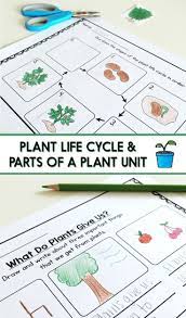 Plant Life Cycle And Parts Of A Plant Lesson Plans Writing Activities Worksheets Craft Leveled Plant Life Cycle Plant Lessons Plants Life Cycle Activities