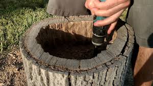 10 amazing tree stump ideas for the garden flipturn on feb 19, 2018 i would just cover it with rocks, such as river rocks, but keep it for seasonal decorating. Turn A Stump Into A Planter 7 Steps With Pictures Instructables