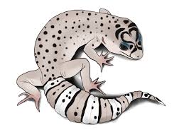 Black And White Leopard Gecko Clipart Sale Ss005 By Jasper 19 On Deviantart Gecko Leopard Gecko Animated Animals