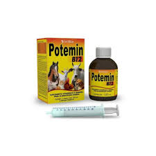 Potemin B12 Oral 120mL - VetBras - Agrocampo Giordani: Produtos  Veterinários e Agropecuários