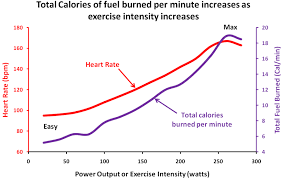 unbiased heart rate chart for women during exercise heart