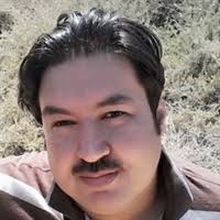 Global patterns of vascular plant alpha diversity