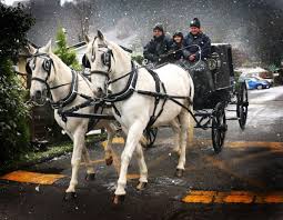 Things to do ranked using tripadvisor data including reviews, ratings, photos, and popularity. Fairytale Scenes As Horse Drawn Carriage Takes Retired Stable Boss For Surprise Birthday Ride Stourbridge News