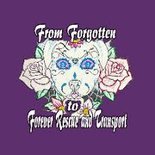 Maybe you would like to learn more about one of these? Colorado Springs Co Animal Shelters Rescues Chewy Com