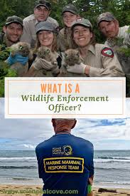 What Is A Wildlife Enforcement Officer Middle School Science Activities