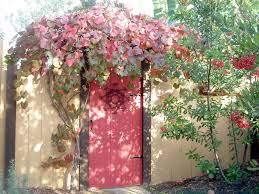 Some garden designers work only with california native plants; . Gardening And Landscaping With California Native Plants California Native Plant Society San Diego Chapter