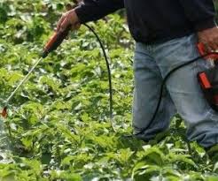 Savon Noir Les Bienfaits De L Exfoliant Naturel Par Excellence Savon Noir Jardins Et Savon Noir Liquide