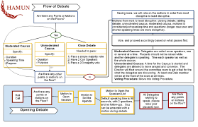 Rules Of Procedure Hamun 45