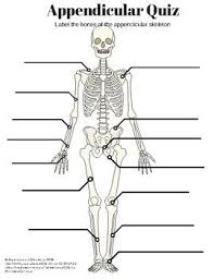 Skeletal Quiz That Covers All Bones Of The Appendicular Skeleton Including Carpals And Tarsals Quiz Worksheets Answers